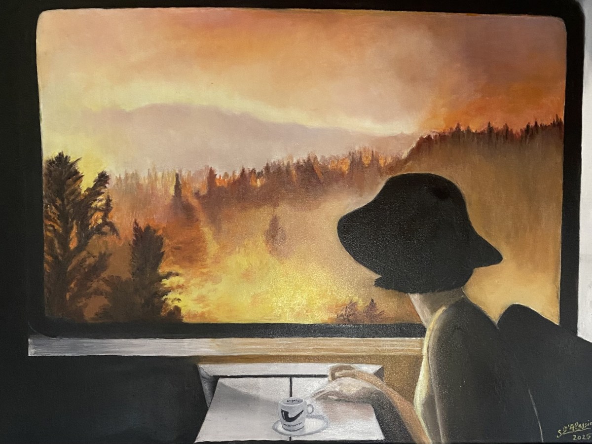 The woman in the&nbsp;train